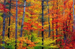 22 settembre: Equinozio d’autunno.