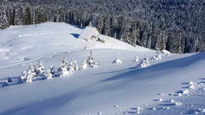 NEVE!!!